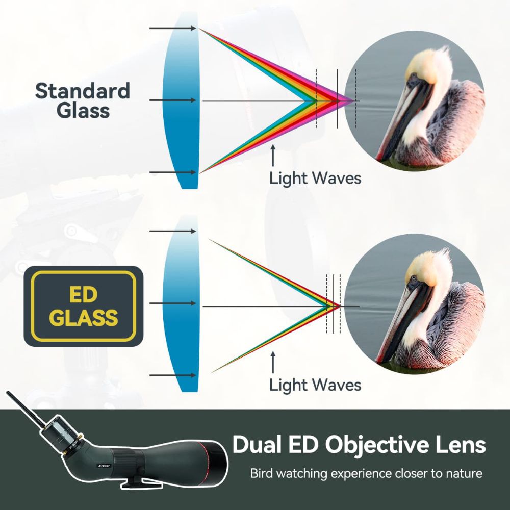 SA401 APO Telescopic Sight Professional Scope 25-75X100 Double ED Glasses Spotting Scope For Birding