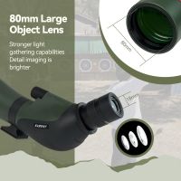 spotting scope for birding 