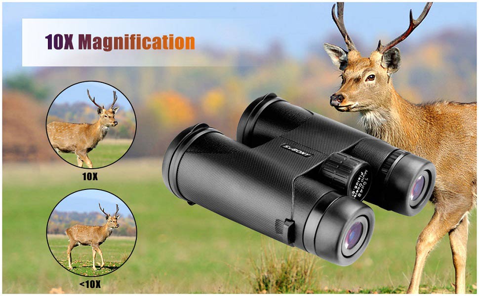What Is Important To Binoculars?(1)