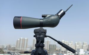 Why Should You Consider Pairing Your Birdwatching Scope With An Electronic Camera doloremque