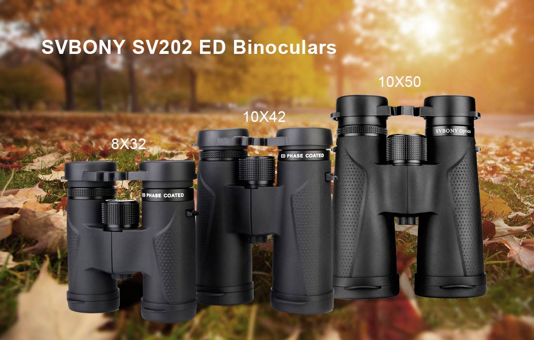 What's The Best Kind of Binoculars to Purchase?