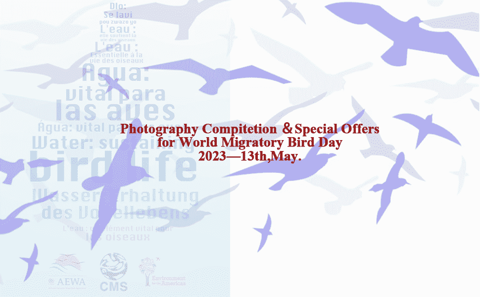Photography Competition-World Migratory Bird Day 2023