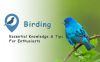 Birdwatching: Essential Knowledge and Tips for Enthusiasts