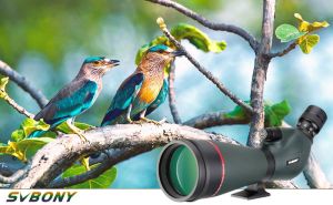 How to Choose a Birdwatching Scope doloremque