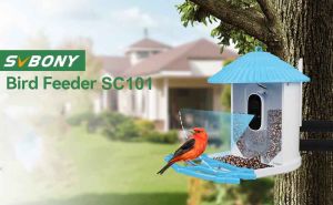 Take Your Bird-Watching to the Next Level: Advanced Techniques with the SVBONY SC101 Smart Bird Feeder doloremque