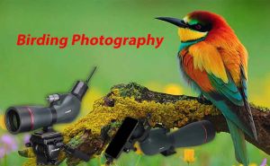 Embrace the Beauty of Birding this Spring with SVBONY doloremque