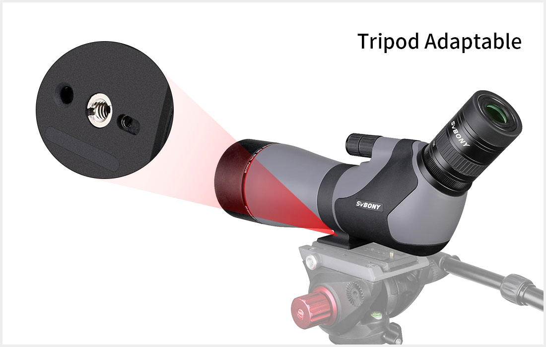 SV46P ED 20-60x80 Dual Focus Spotting Scope