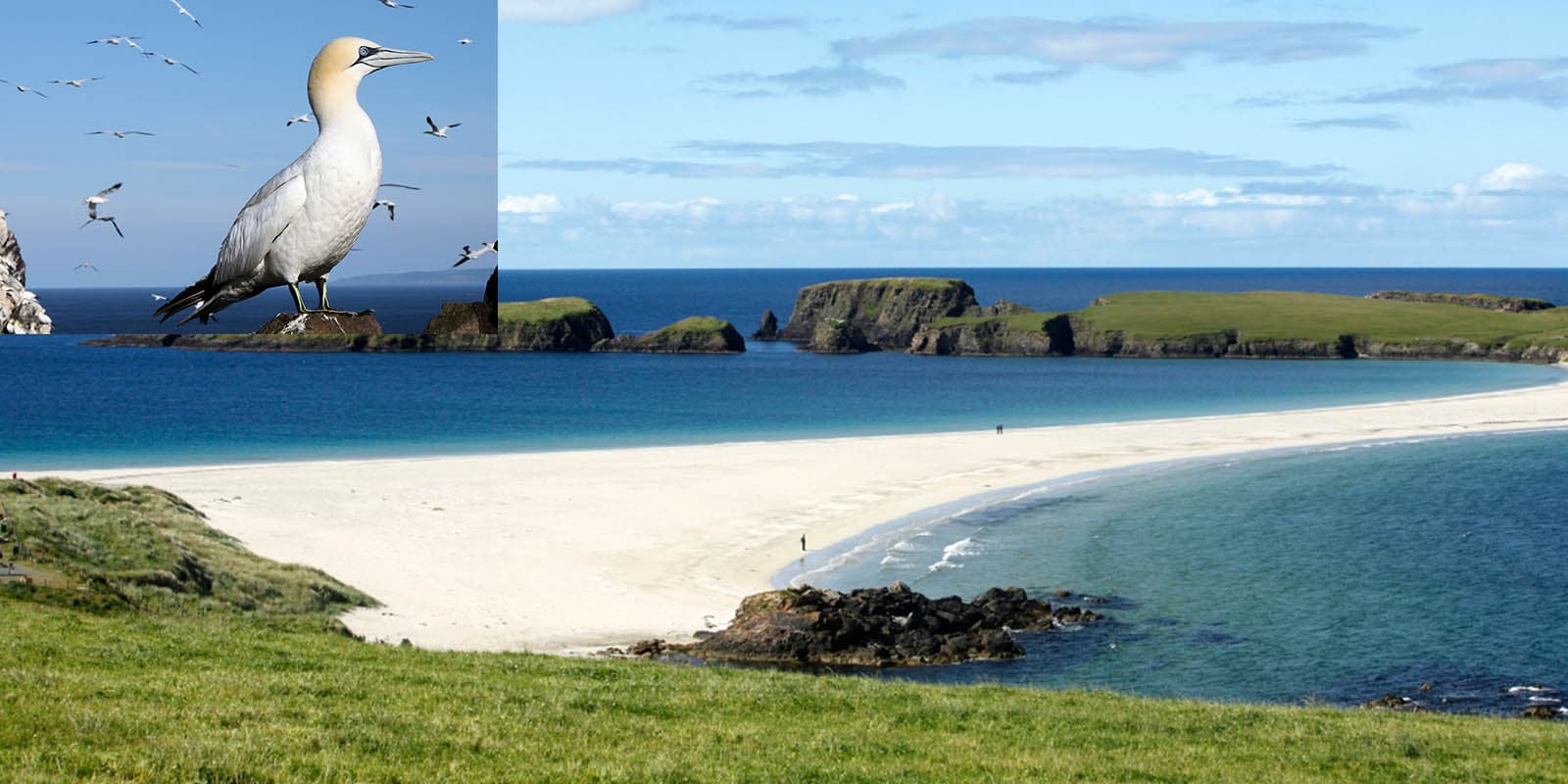 Shetland Islands.jpg