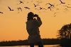 What is the Best Time for Birding