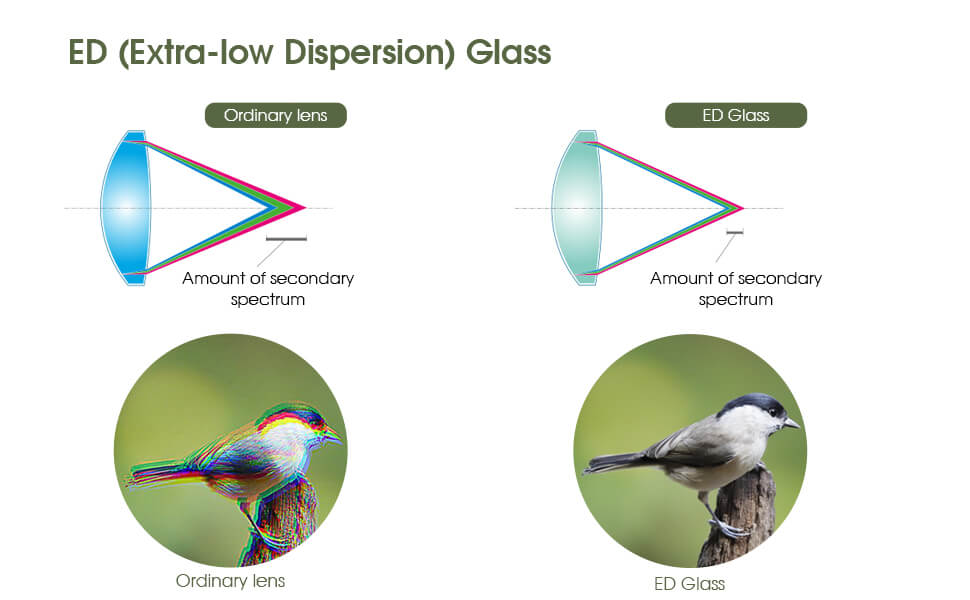 ED(Extra-low Dispersion)Glass